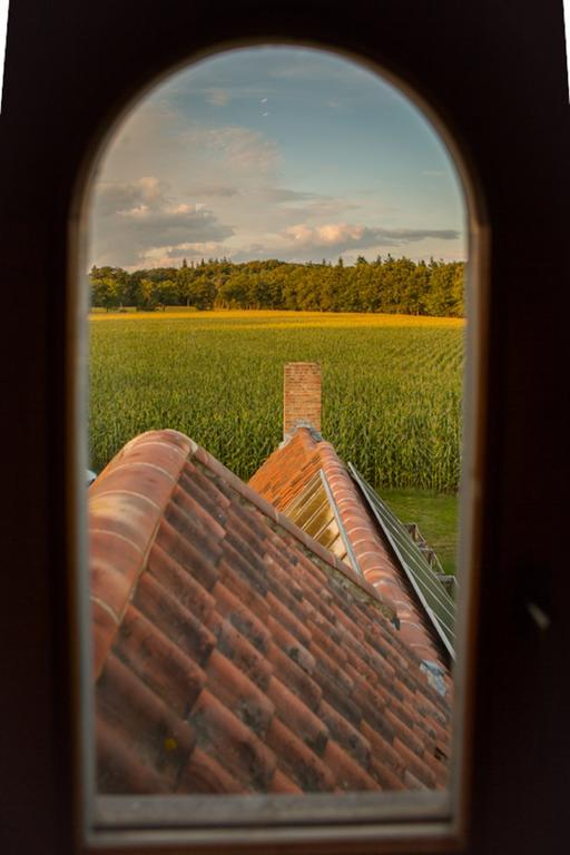 Hof Ter Sysen Villa Loppem Cameră foto